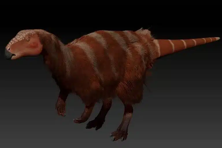 Nova espécie de dinossauro descoberta na Bahia. (Foto: Thales Nascimento/Divulgação)