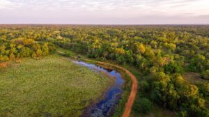 Roberto Klabin implementa instituto de salvaguarda no Pantanal (Foto: Divulgação/Felipe Castellari @felcastellari).