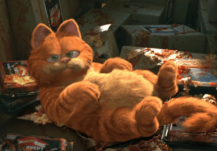 (Foto; Reprodução/Internet)