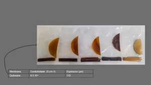 Tecnologia verde: UFC transforma casca de camarão em energia