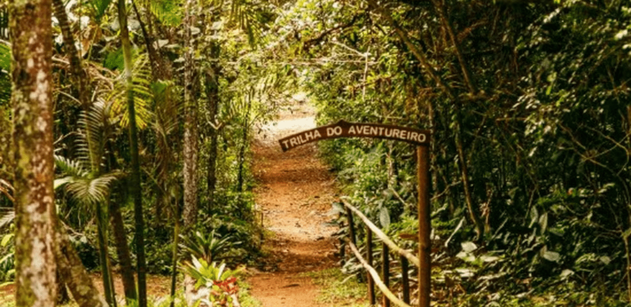 Entrada da Trilha do Aventureiro cercada por vegetação nativa da Mata Atlântica, representando o percurso da Trilha Interparques em São Paulo.