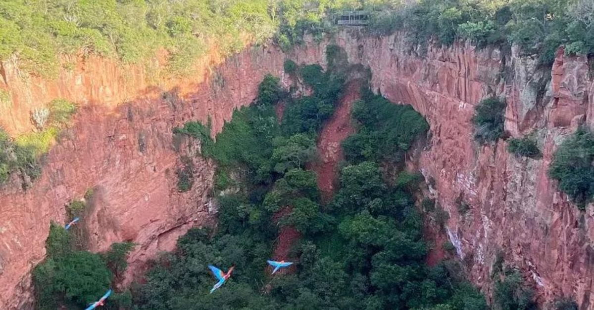 Buraco das Araras com araras-vermelhas em voo sobre a dolina