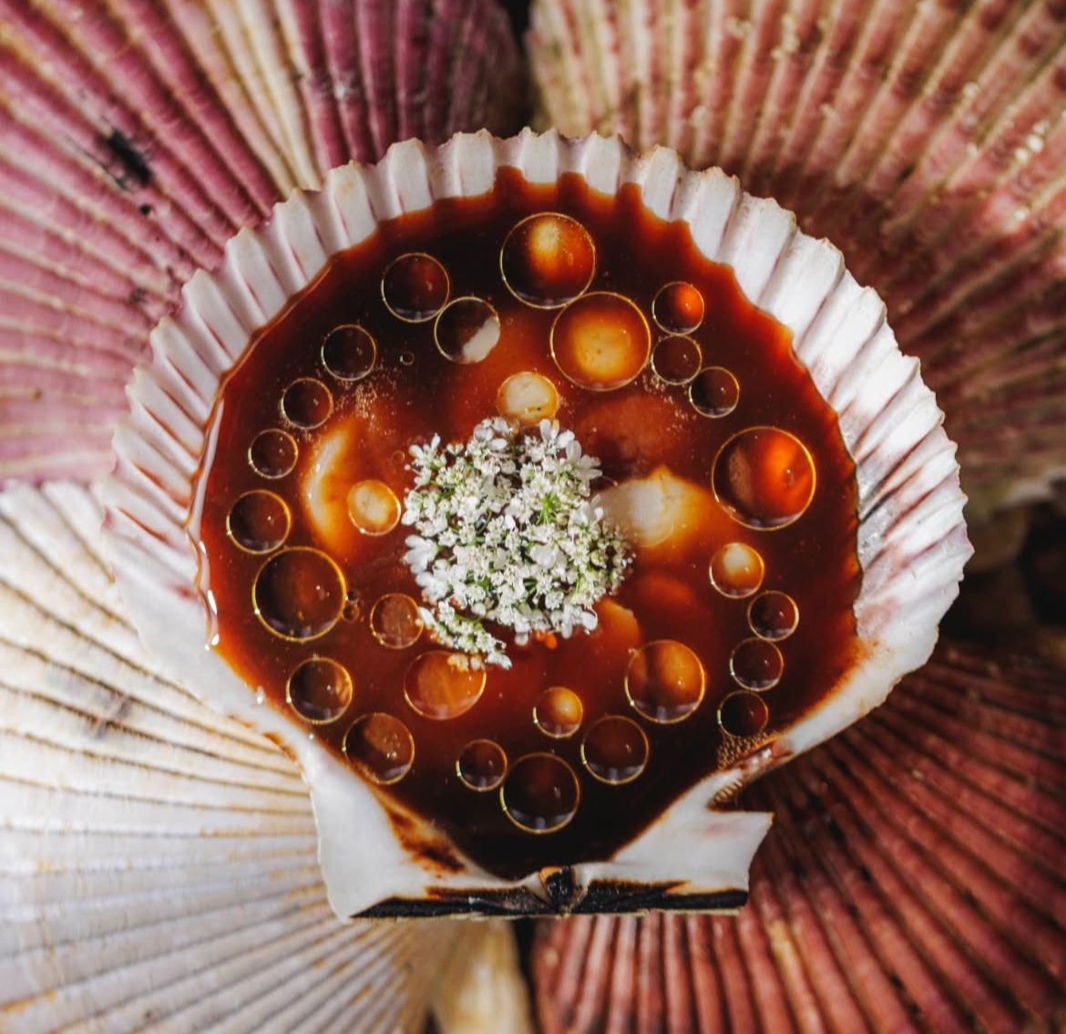 Prato autoral do restaurante Metzi, premiado com estrela Michelin em 2025