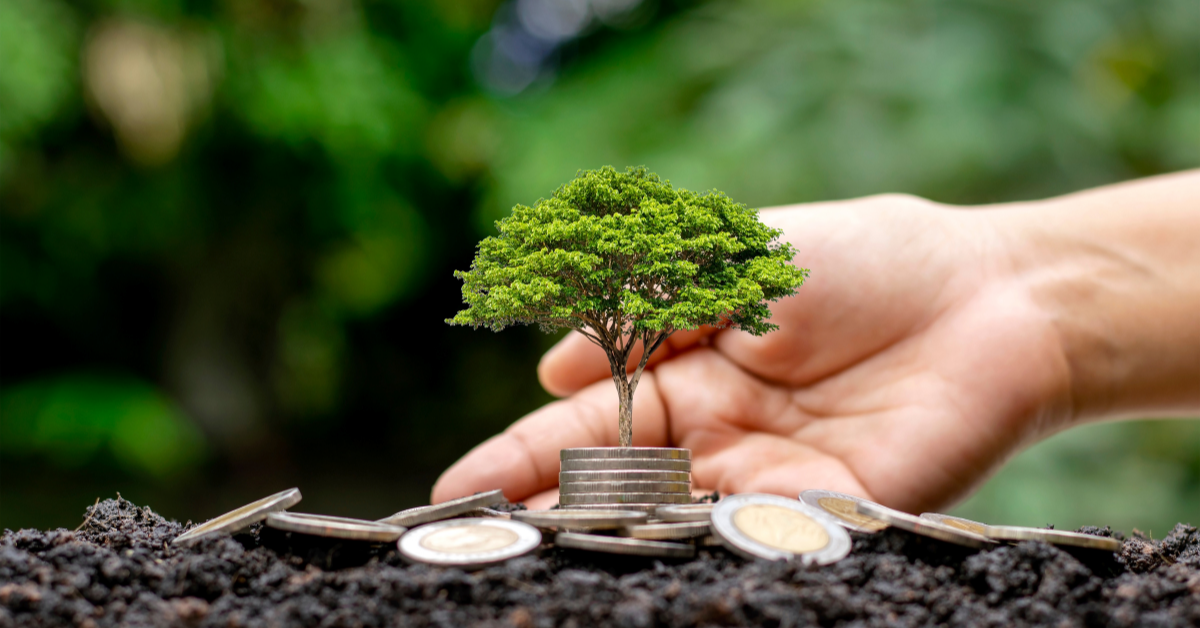 Árvore crescendo em cima de moedas, simbolizando o crescimento sustentável e a economia verde.