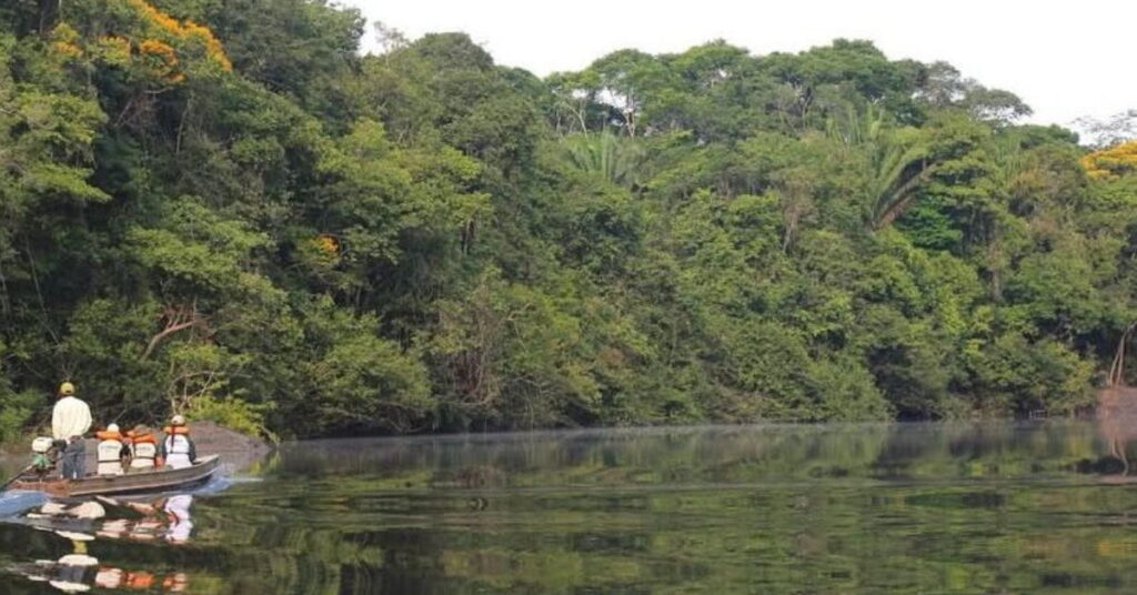 Turistas exploram rio em floresta densa de parques nacionais pouco visitados
