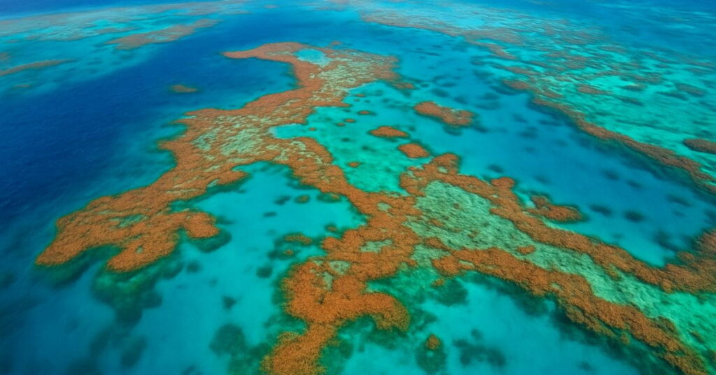 Recifes de corais vistos do alto em mar cristalino, símbolo da proteção dos oceanos e da biodiversidade marinha