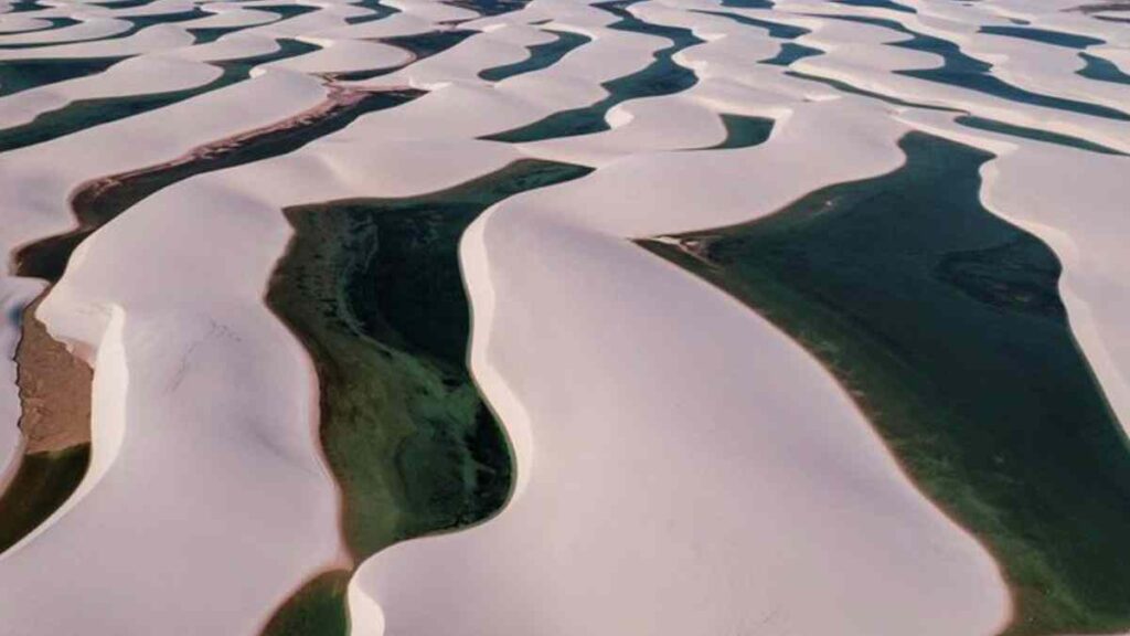 Visitantes percorrem a rota das emoções nordeste entre dunas, manguezais e praiasz