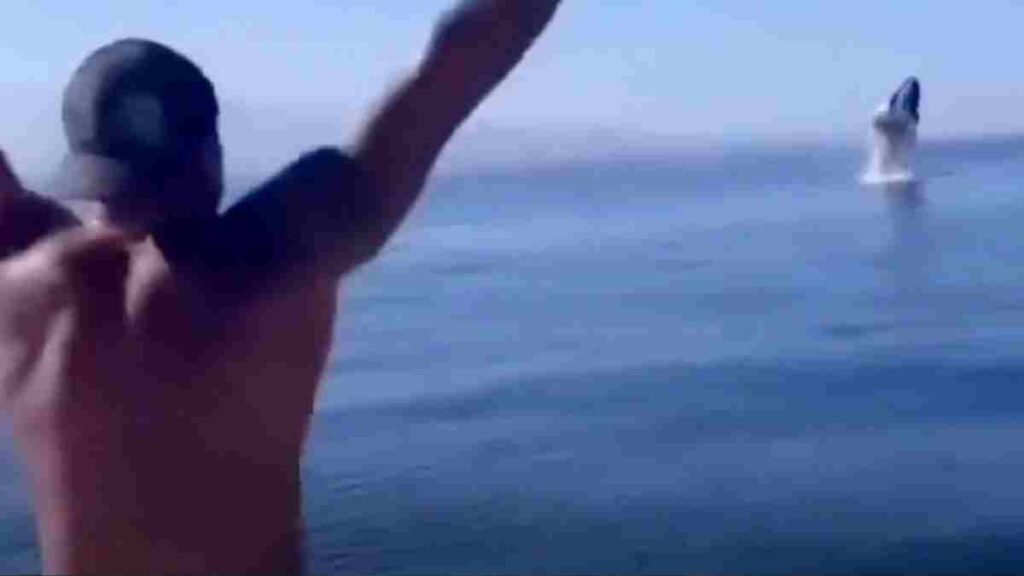Homem que conversa com as baleias transforma o turismo no Havaí