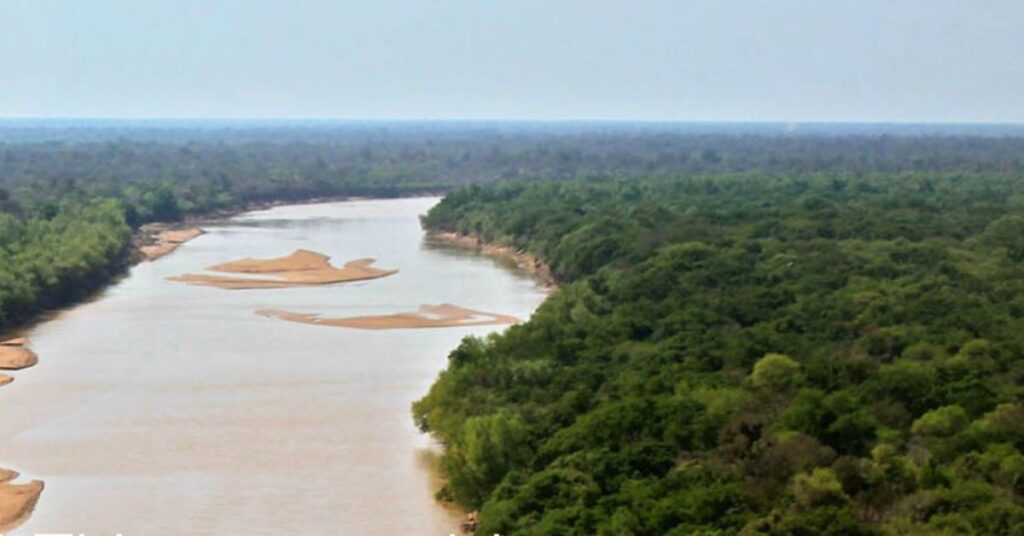 Corredores ecológicos conectam habitats pela bacia do rio Paraná