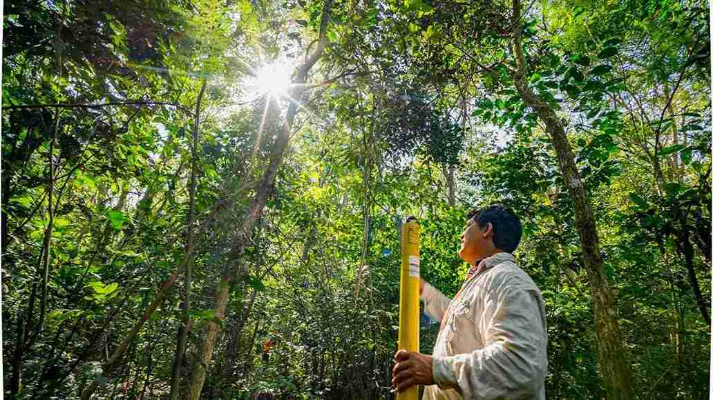 Itaipu projetos ambientais: Funcionário realiza atividade de monitoramento ambiental em meio à floresta densa, com incidência de luz solar filtrada pela copa das árvores.