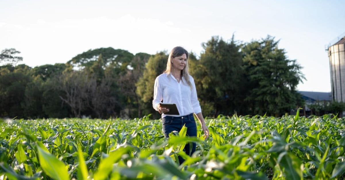 Vanessa Bomm, produtora rural, observa plantação de soja com práticas sustentáveis mulheres no agronegócio