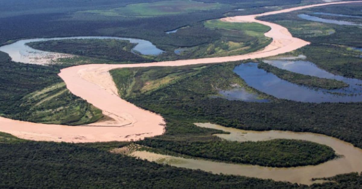 corredor de vida selvagem une países e restaura habitats naturais.
