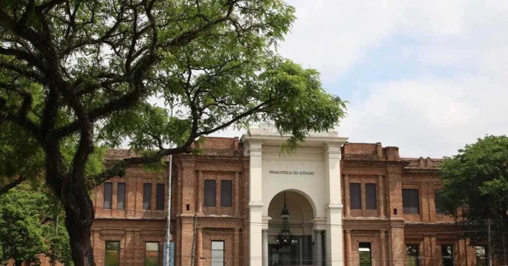 Dia do Servidor Público em São Paulo: servidores na saúde e no transporte garantem serviços essenciais durante o ponto facultativo.