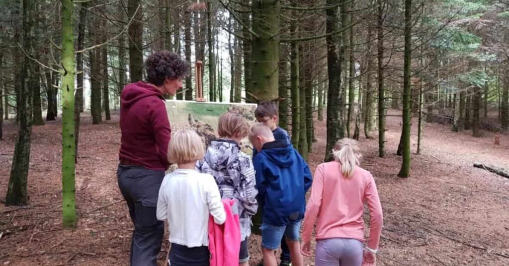 educação nórdica em aula ao ar livre na Dinamarca