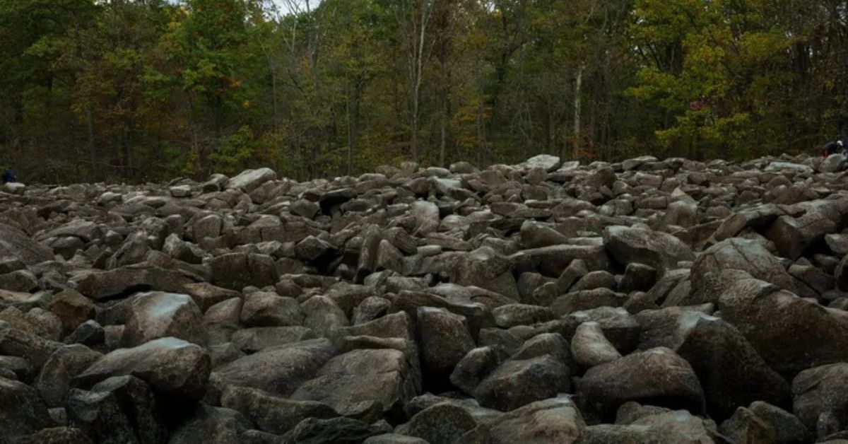 Campo de rochas que cantam no Ringing Rocks Park, na Pensilvânia, com pedras de diabase espalhadas entre a floresta.