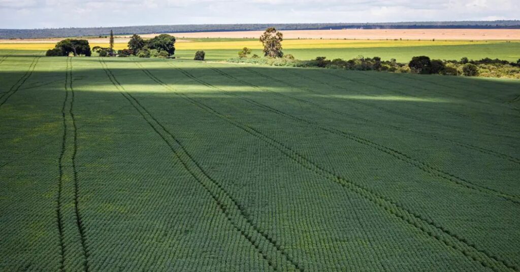 Campo produtivo visto do alto, ilustrando áreas rurais que se beneficiam do financiamento climático no campo para fortalecer práticas sustentáveis.