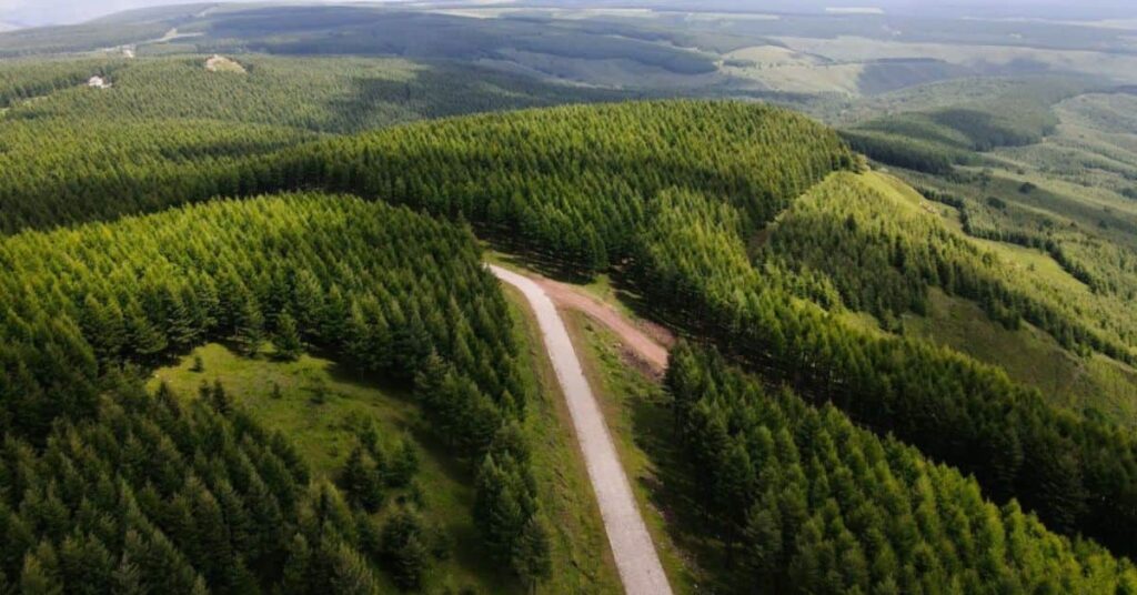 reflorestamento na China e impacto no ciclo da água