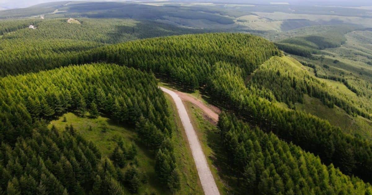 reflorestamento na China e impacto no ciclo da água