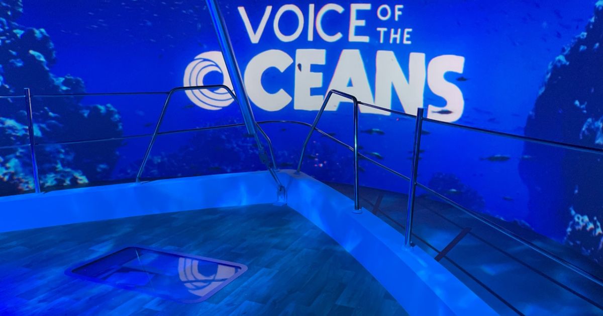 Instalação da Exposição Voz dos Oceanos recria o interior do veleiro Kat e convida o público a vivenciar a bioacústica marinha por meio de sons reais do oceano.