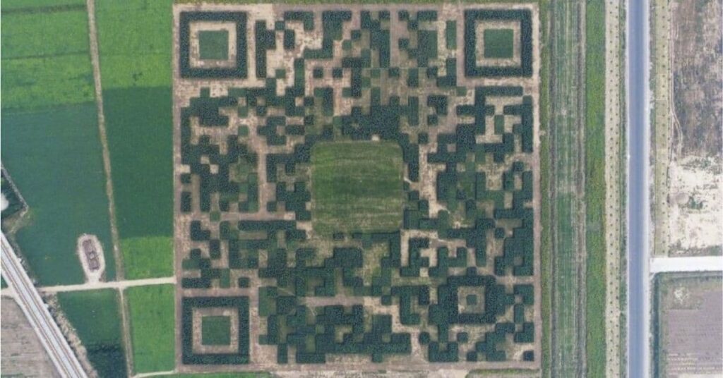 QR Code gigante na China formado por árvores visto do alto