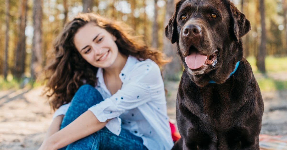 cachorros que aprendem palavras observando conversas humanas