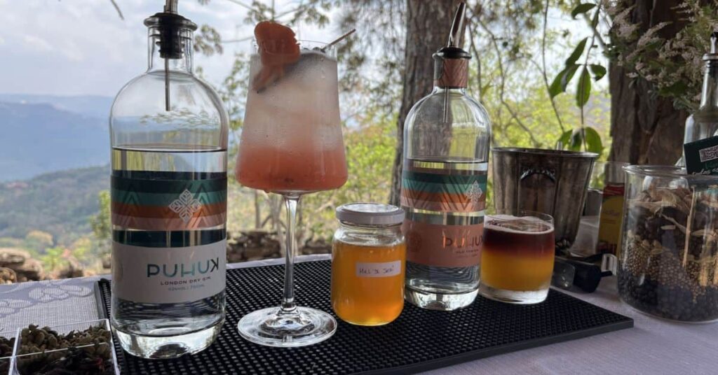 gin com mel de abelhas nativas produzido em Nova Lima