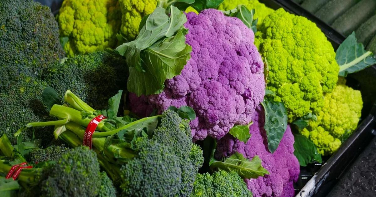 Brócolis e couve-flor de cores diferentes que compartilham a mesma origem vegetal