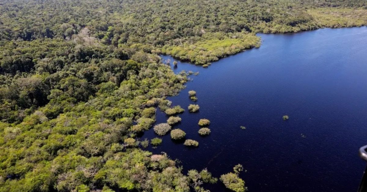 Vista aérea da floresta mostrando que o desmatamento na Amazônia recua em 2025 segundo dados do Inpe