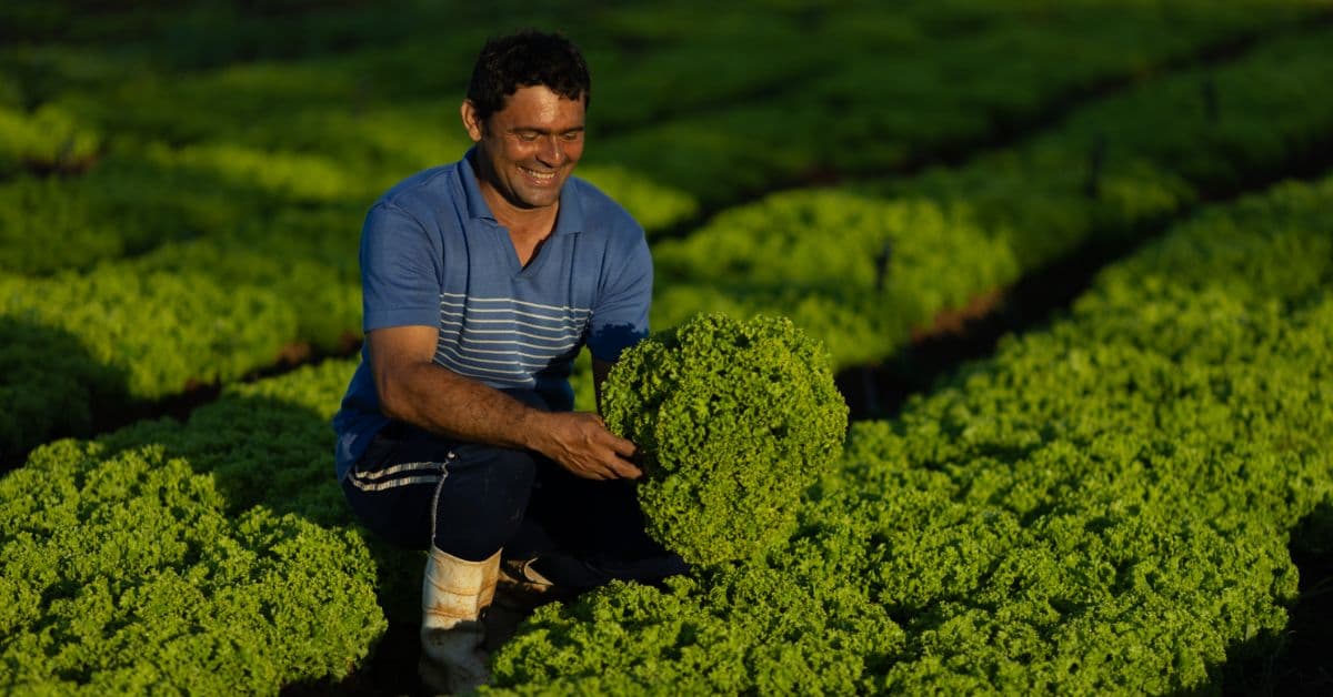 Agricultores beneficiados por investimentos rurais no Brasil no Semiárido