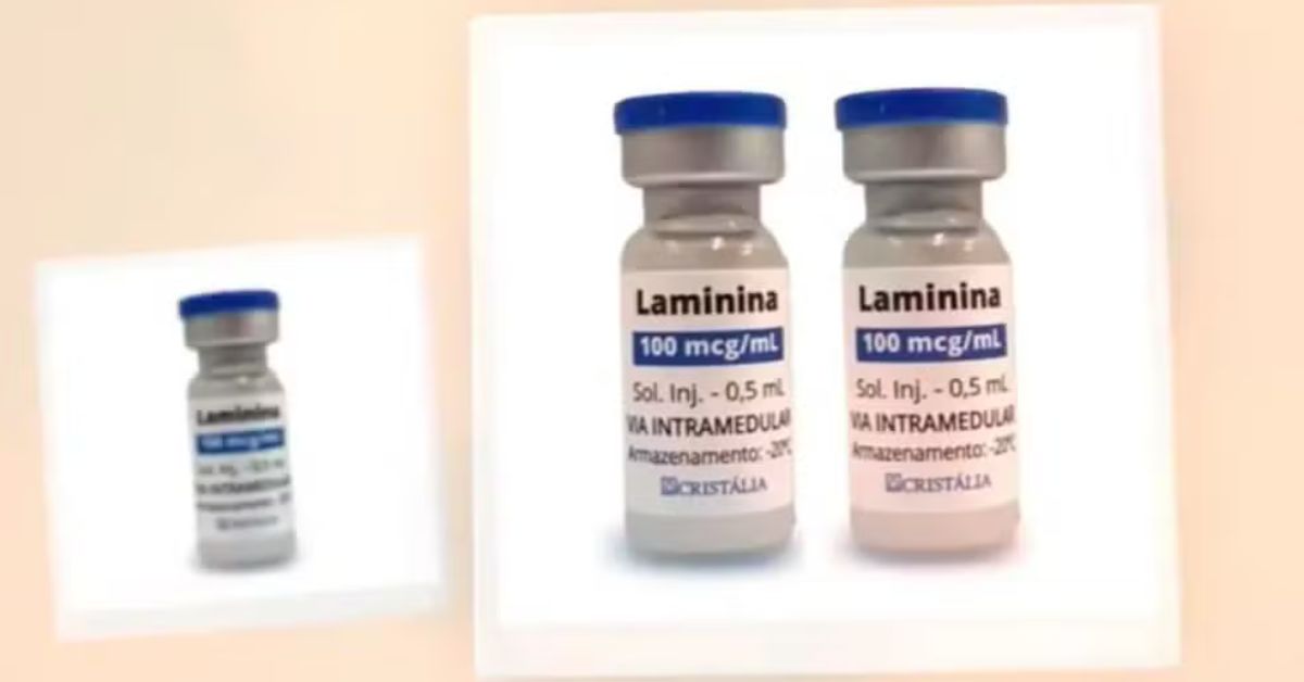 tratamento com polilaminina aplicado na medula espinhal durante cirurgia experimental