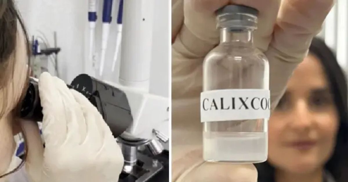 vacina contra crack e cocaína Calixcoca desenvolvida pela UFMG em laboratório